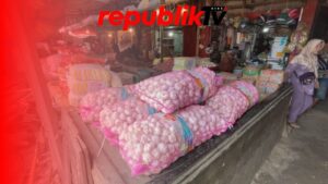 Harga Bawang Putih Meroket Dampak Kurangnya Pasokan
