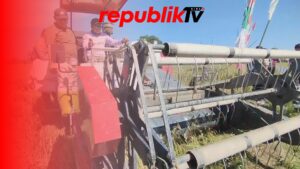 Panen Raya Padi Serentak di 14 Provinsi, Lokasi HST Langsung Dilakukan Bupati