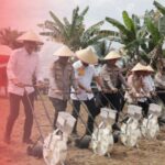 Penanaman Jagung Serentak Polres Banjar Kalsel