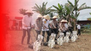 Penanaman Jagung Serentak Polres Banjar Kalsel