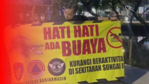 Spanduk Imbauan Dipasang Usai Kemunculan Buaya di Sungai Jafri Zam Zam Banjarmasin