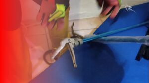 Ular Kecil Gegerkan Karyawan Kafe