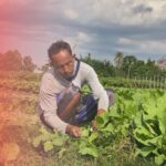 Antara Pesawat dan Pasar Subuh, Semangat Petani Sayur di Ibu Kota