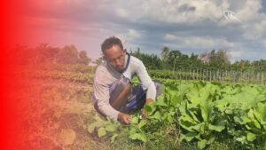 Antara Pesawat dan Pasar Subuh, Semangat Petani Sayur di Ibu Kota