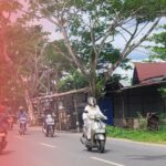 Warga Minta Perawatan Pohon Penghijauan di Jalan Veteran Martapura