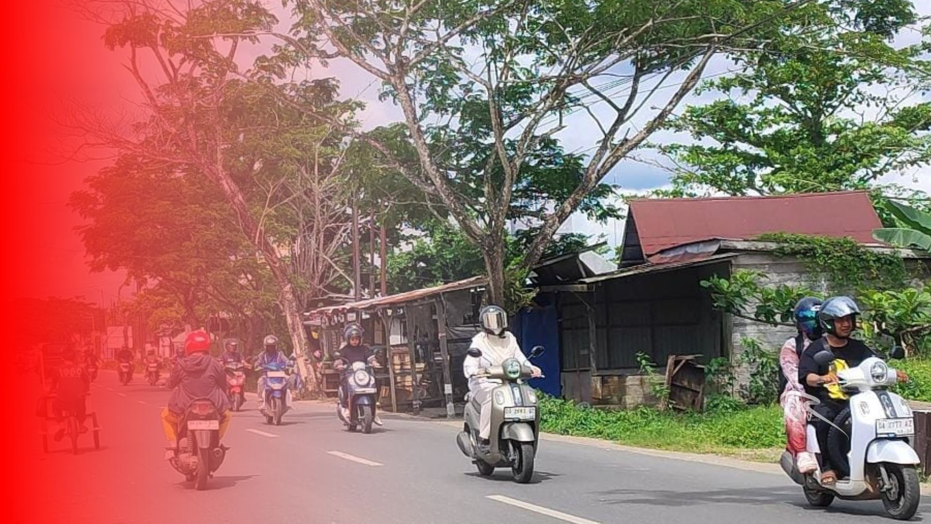 Warga Minta Perawatan Pohon Penghijauan di Jalan Veteran Martapura