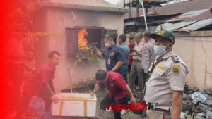 Ribuan Bibit Sawit Dan Telur Belangkas Dimusnahkan