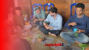 Seni Eco Kokedama, Cara Berkebun Ramah Lingkungan