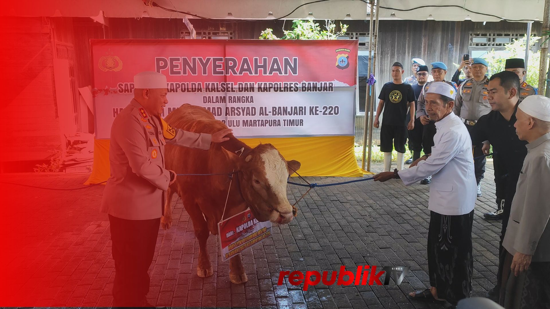 Polri Serahkan Sapi Konsumsi Untuk Jamaah Haul Datu Kelampayan