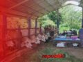 Pedagang Khawatir Sapi Kurban Tidak Laku Jelang Hari Raya