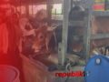 Sapi Rojak Berbobot 1 Ton Jadi Hewan Kurban Presiden Prabowo di Martapura