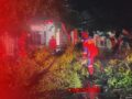 Pohon Tumbang di Depan RSUD Ratu Zalecha Martapura, Pengendara Nyaris Jadi Korban