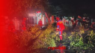 Pohon Tumbang di Depan RSUD Ratu Zalecha Martapura, Pengendara Nyaris Jadi Korban
