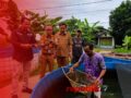 Intan Sikapayu Berbuah Manis, Pembudidaya Lok Baintan Nikmati Panen Perdana Papuyu