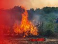 Kebakaran Lahan di Guntung Manggis, Tiga Titik Api Muncul Bersamaan