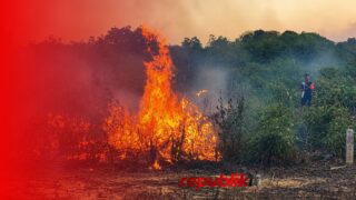 Kebakaran Lahan di Guntung Manggis, Tiga Titik Api Muncul Bersamaan