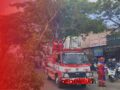 Pohon Peneduh Kembali Tumbang di Jalan Veteran Martapura, Lalu Lintas Sempat Terganggu