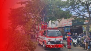 Pohon Peneduh Kembali Tumbang di Jalan Veteran Martapura, Lalu Lintas Sempat Terganggu