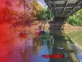 Bangkai Ikan Cemari Sungai, Warga Tak Lagi Nyaman Gunakan Air