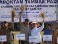 Bupati Banjar Panen Padi, Produksi 4,6 Ton per Hektare
