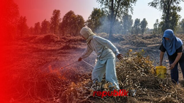 Warga Jaga Rumah dari Kebakaran, Bantuan Penanganan Karhutla di Galam Rabah Dinantikan
