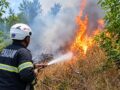 Karhutla Kabupaten Banjar Capai 305 Kejadian, 2.086 Hektare Lahan Terbakar