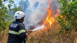 Karhutla Kabupaten Banjar Capai 305 Kejadian, 2.086 Hektare Lahan Terbakar