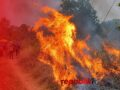 Pemadaman Karhutla Terkendala Kabel Listrik Terbakar dan Putus