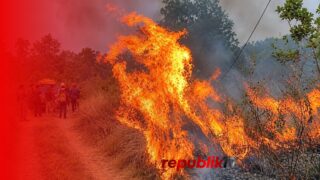 Pemadaman Karhutla Terkendala Kabel Listrik Terbakar dan Putus