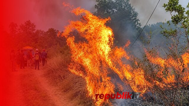 Pemadaman Karhutla Terkendala Kabel Listrik Terbakar dan Putus