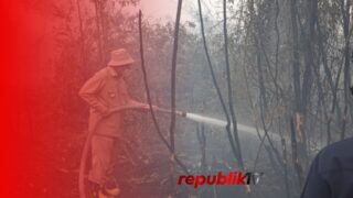 Gubernur Kalsel Kembali Tinjau Karhutla, Arahkan Land Clearing dan Penambahan Posko
