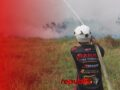 Karhutla Berulang di Guntung Manggis Banjarbaru, Api Dekati Permukiman