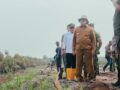 Atasi Karhutla, Kalsel Bangun Embung Mini untuk Water Bombing