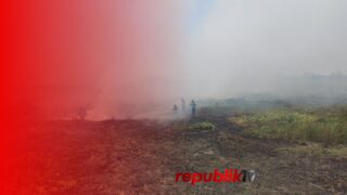 Karhutla Kabupaten Banjar Capai 937 Kejadian, Lebih dari 6.100 Hektare Lahan Terbakar