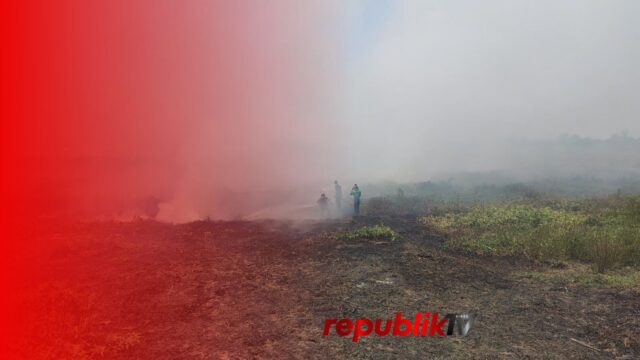 Karhutla Kabupaten Banjar Capai 937 Kejadian, Lebih dari 6.100 Hektare Lahan Terbakar