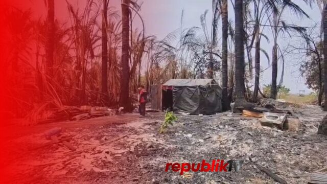 Rumah Habis Dilalap Api, Korban Karhutla Bertahan Hidup di Tenda