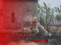 Kebakaran Lahan di Tengah Permukiman Warga Sungai Sipai