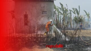 Kebakaran Lahan di Tengah Permukiman Warga Sungai Sipai